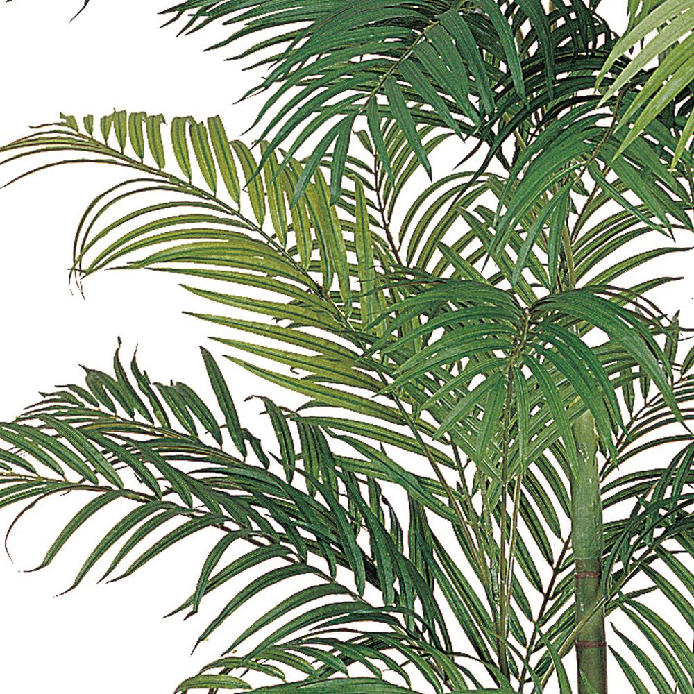 6ft. Areca Silk Palm Tree. Picture 3
