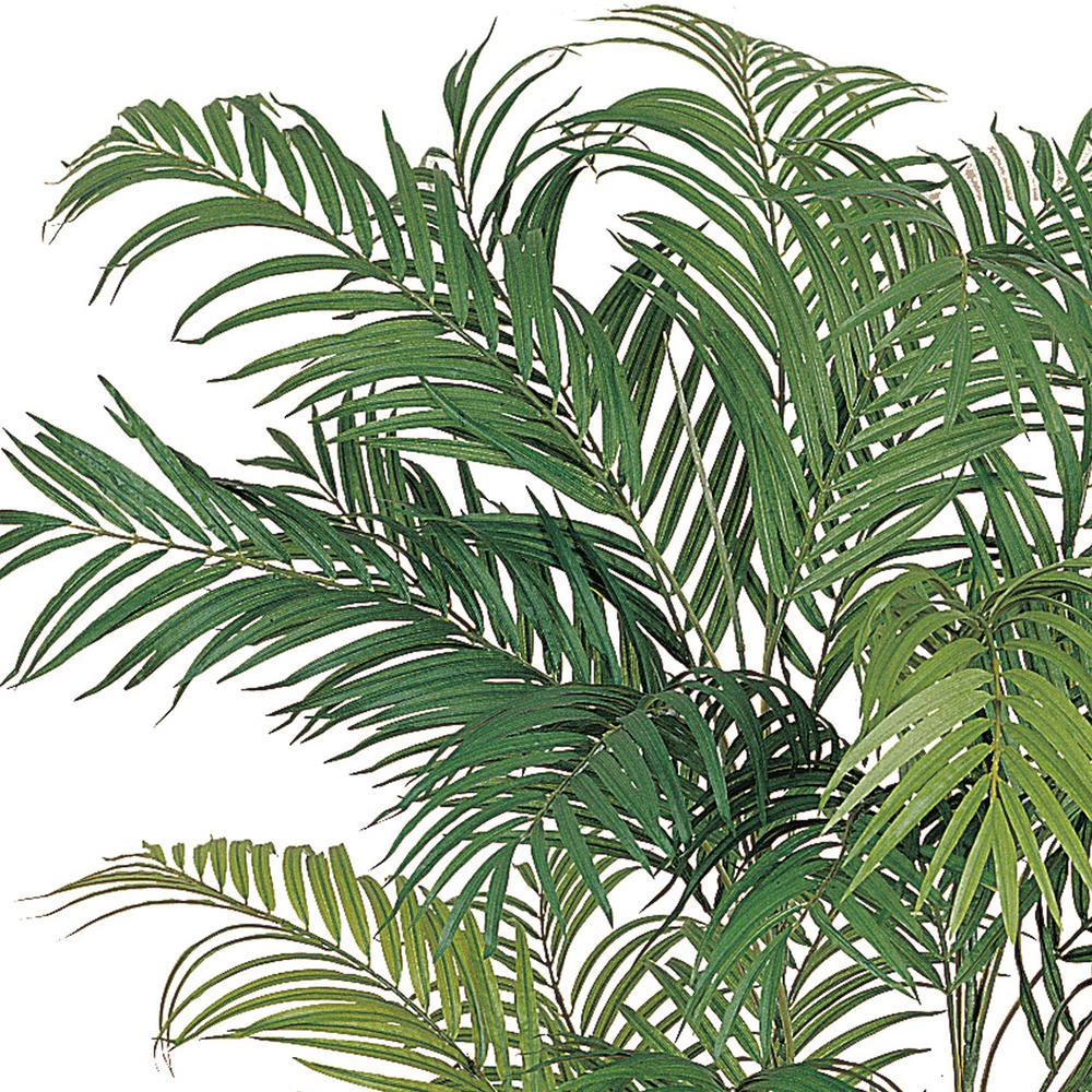 6ft. Areca Silk Palm Tree. Picture 5
