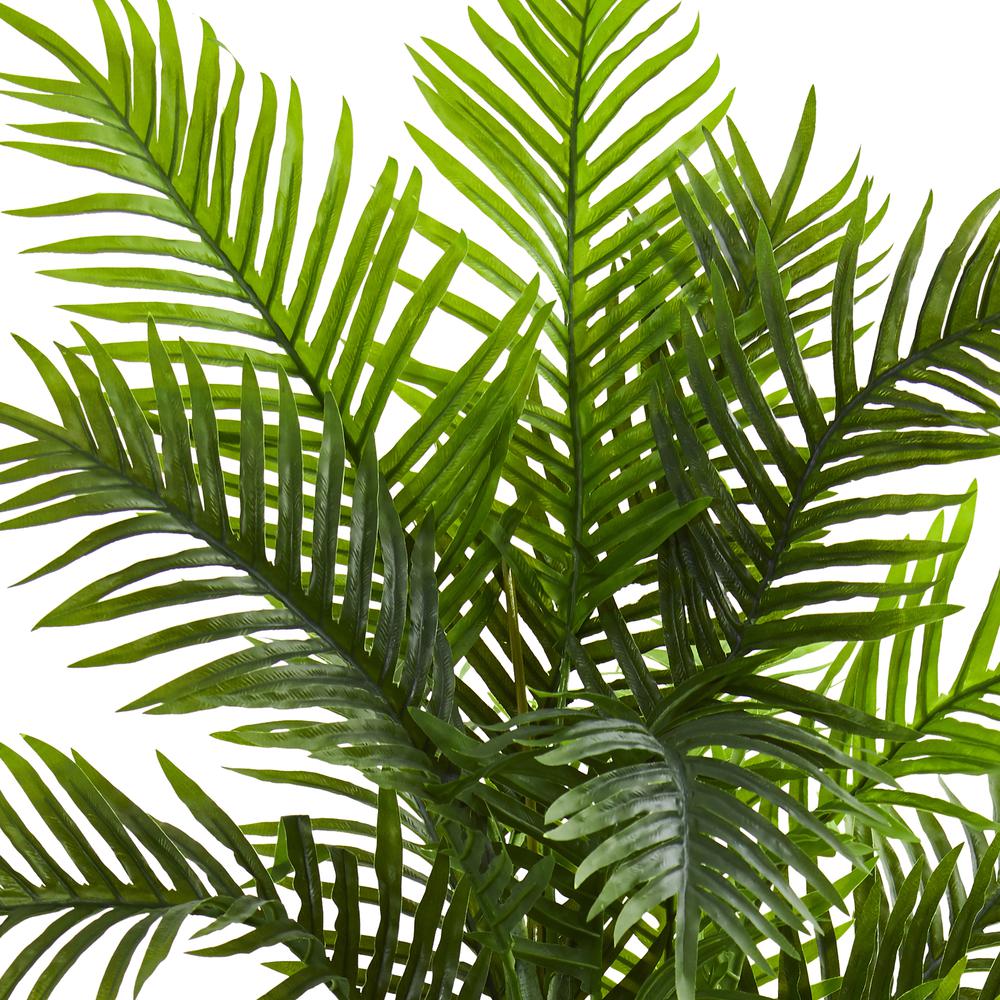 6ft. Areca Silk Palm Tree. Picture 7