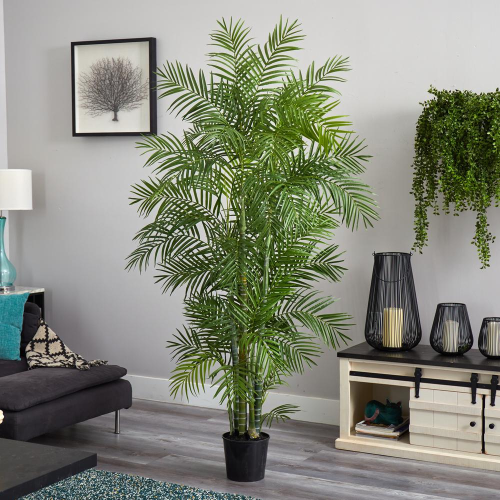 6ft. Areca Silk Palm Tree. Picture 10