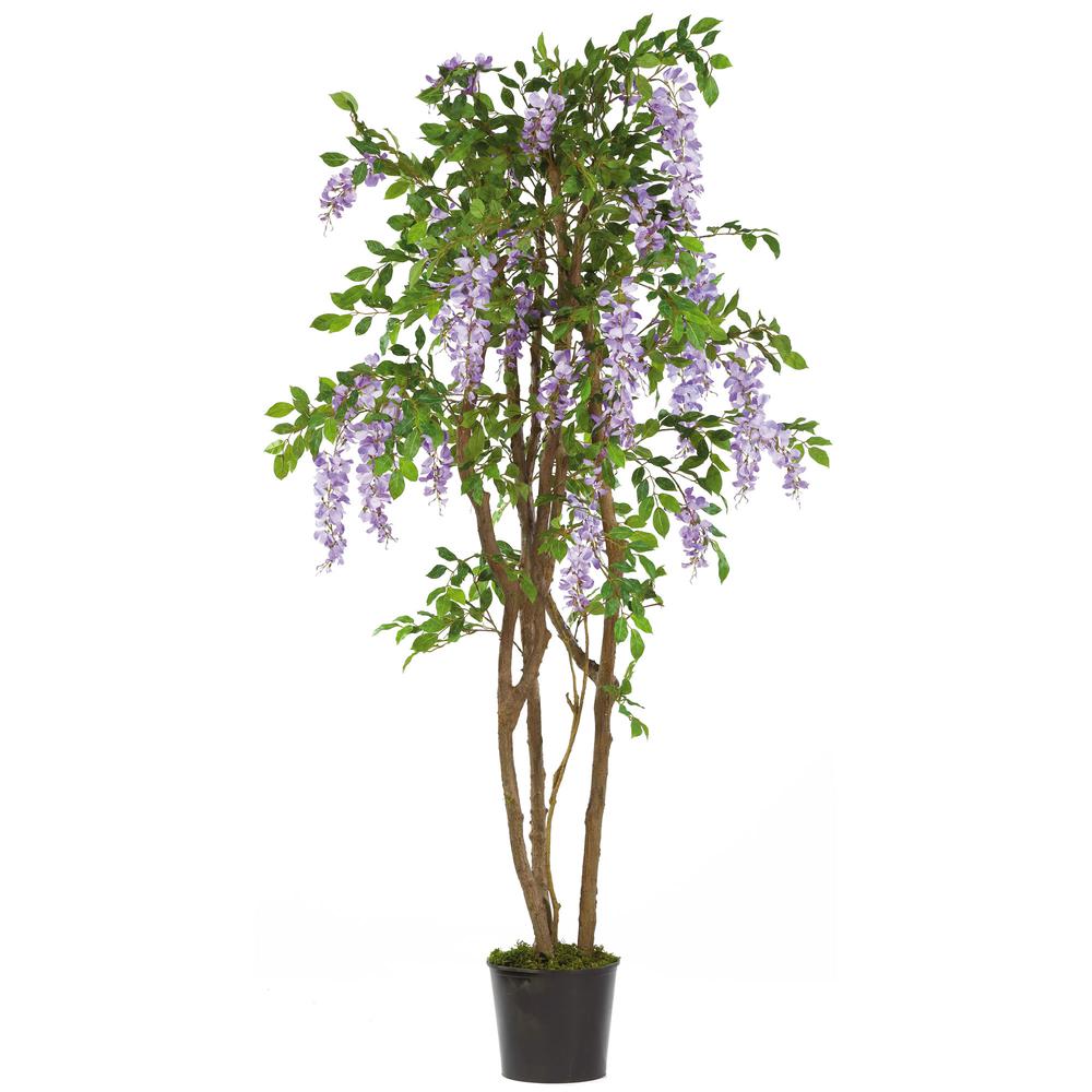 5ft. Wisteria Silk Tree. Picture 1