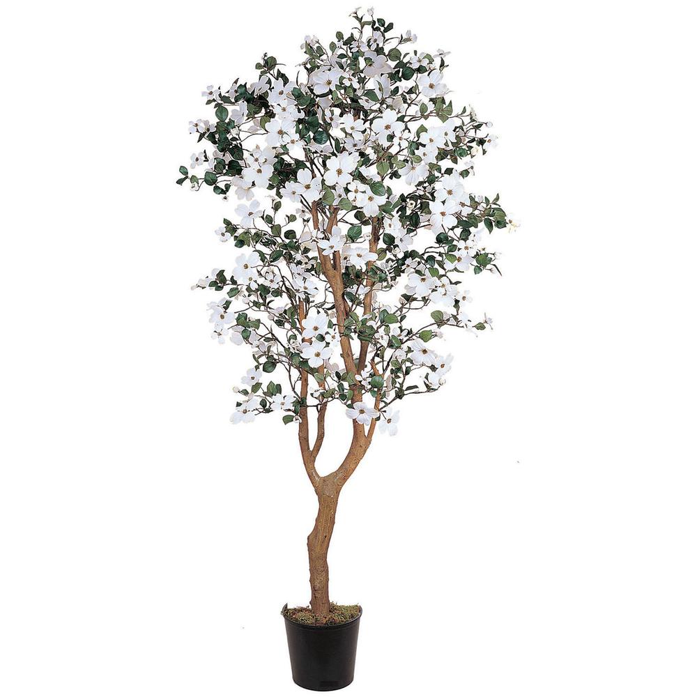 5ft. Dogwood Silk Tree. Picture 1