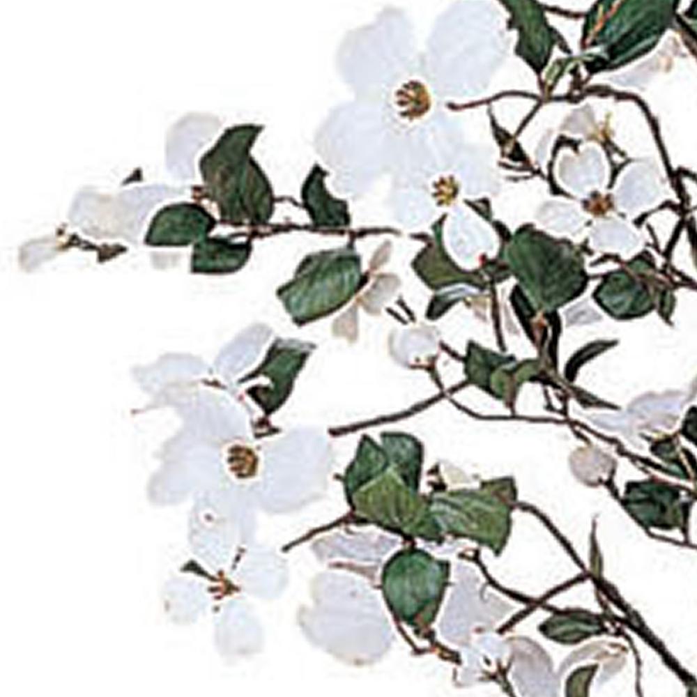 5ft. Dogwood Silk Tree. Picture 2