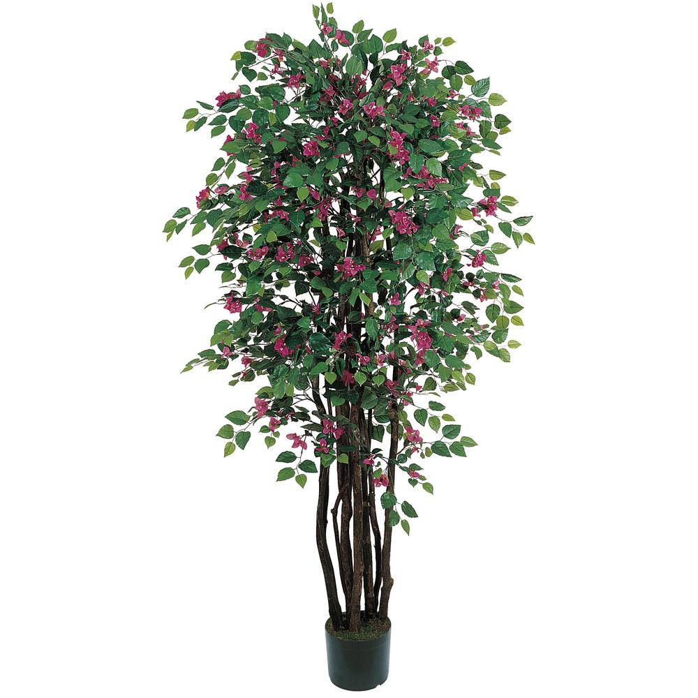 6ft. Bougainvillea Silk Tree. Picture 1