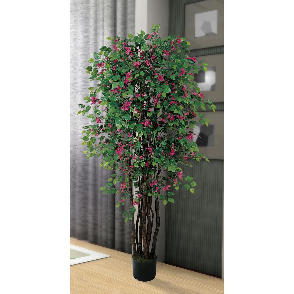6ft. Bougainvillea Silk Tree. Picture 2