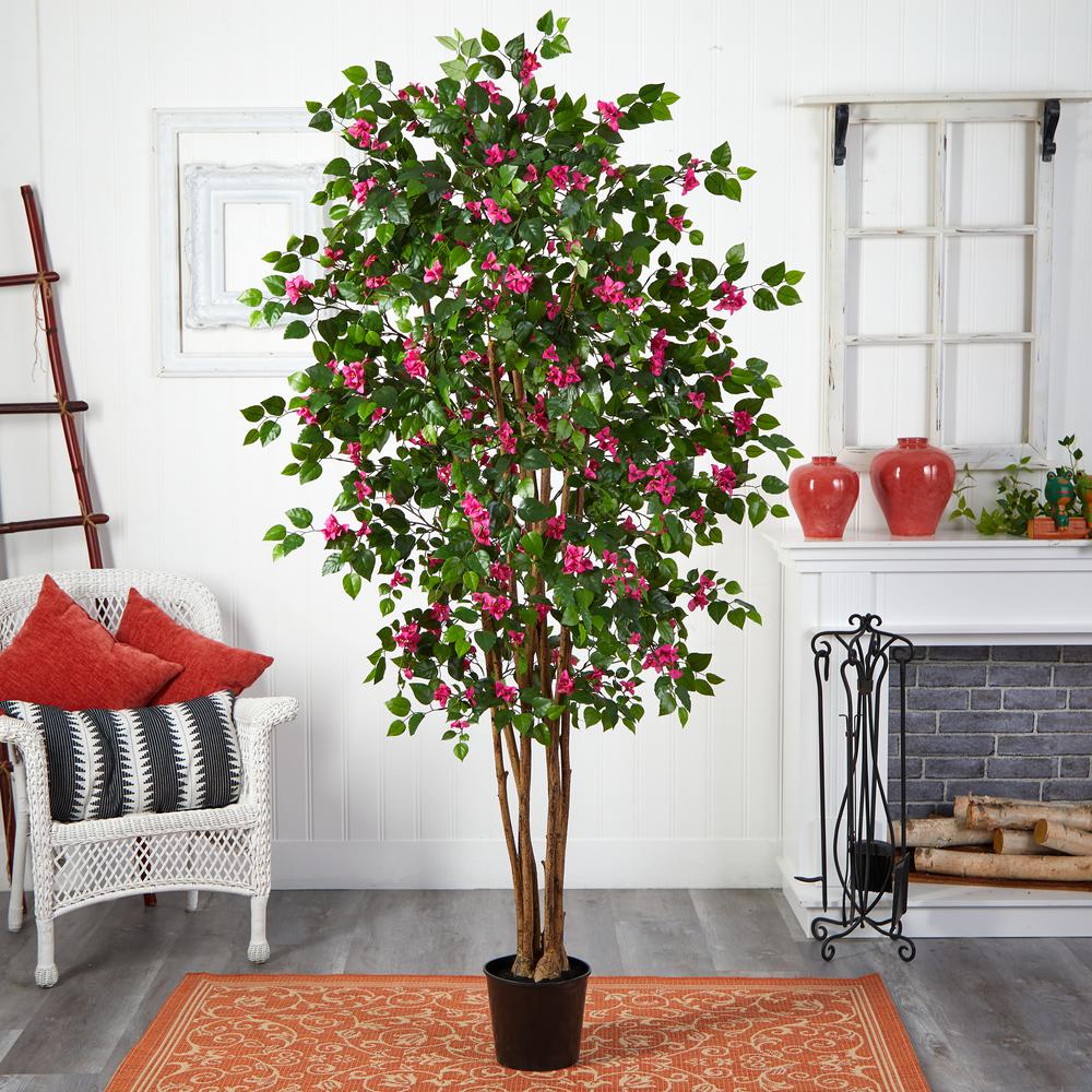 6ft. Bougainvillea Silk Tree. Picture 4