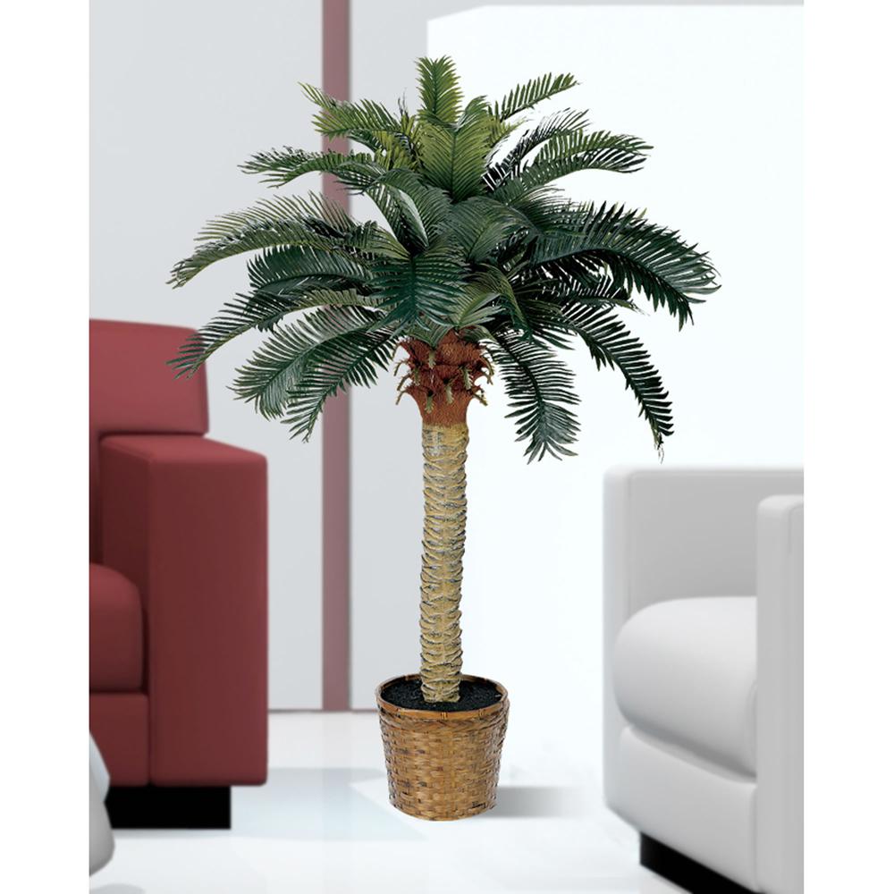 4ft. Sago Silk Palm Tree. Picture 4