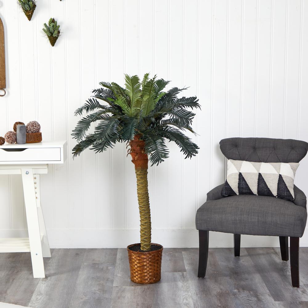 4ft. Sago Silk Palm Tree. Picture 3
