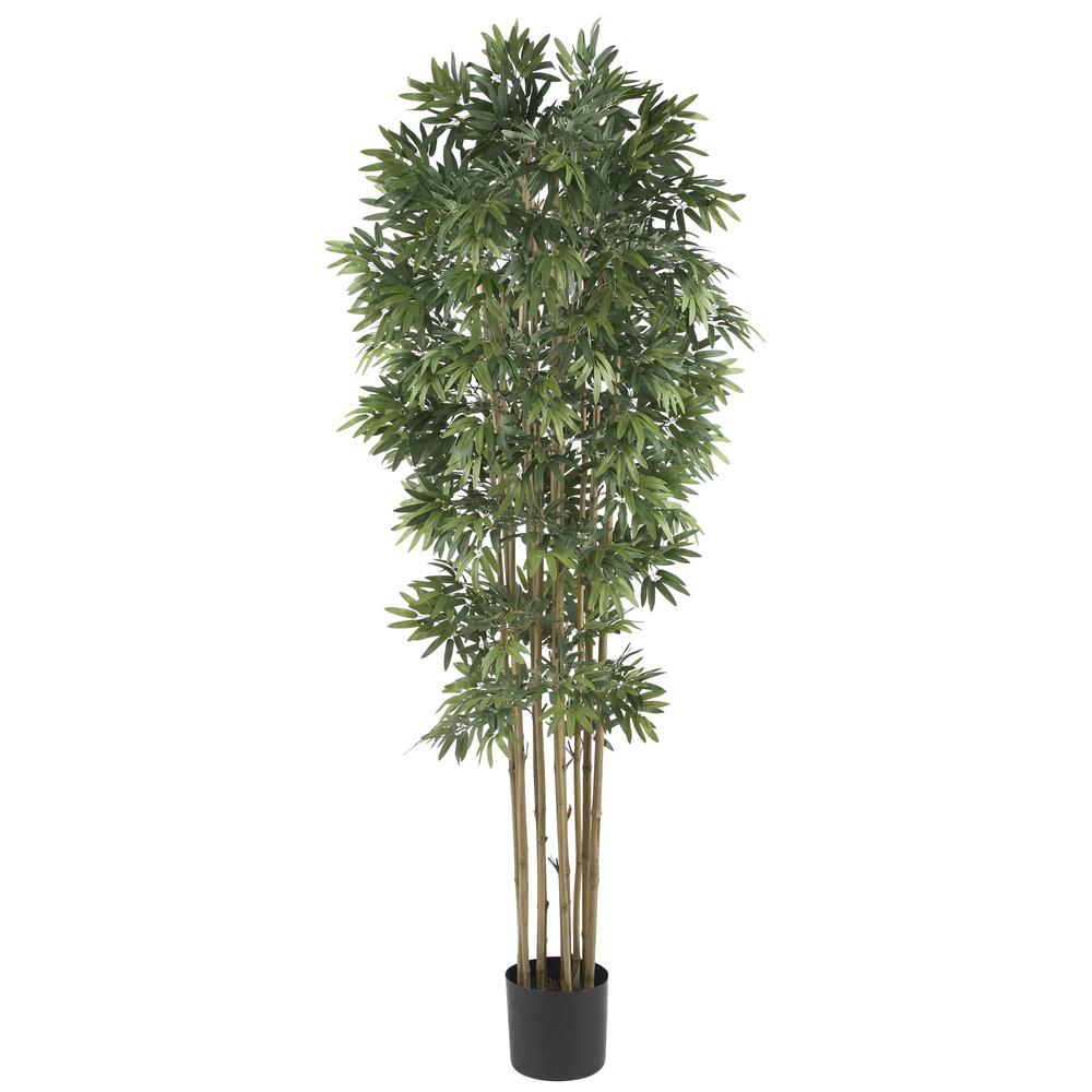 6ft. Bamboo Japonica Silk Tree. Picture 1