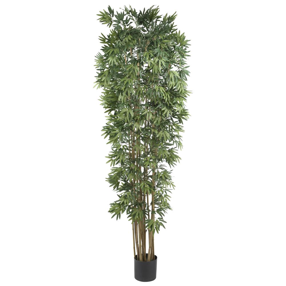7ft. Bamboo Japonica Silk Tree. Picture 1