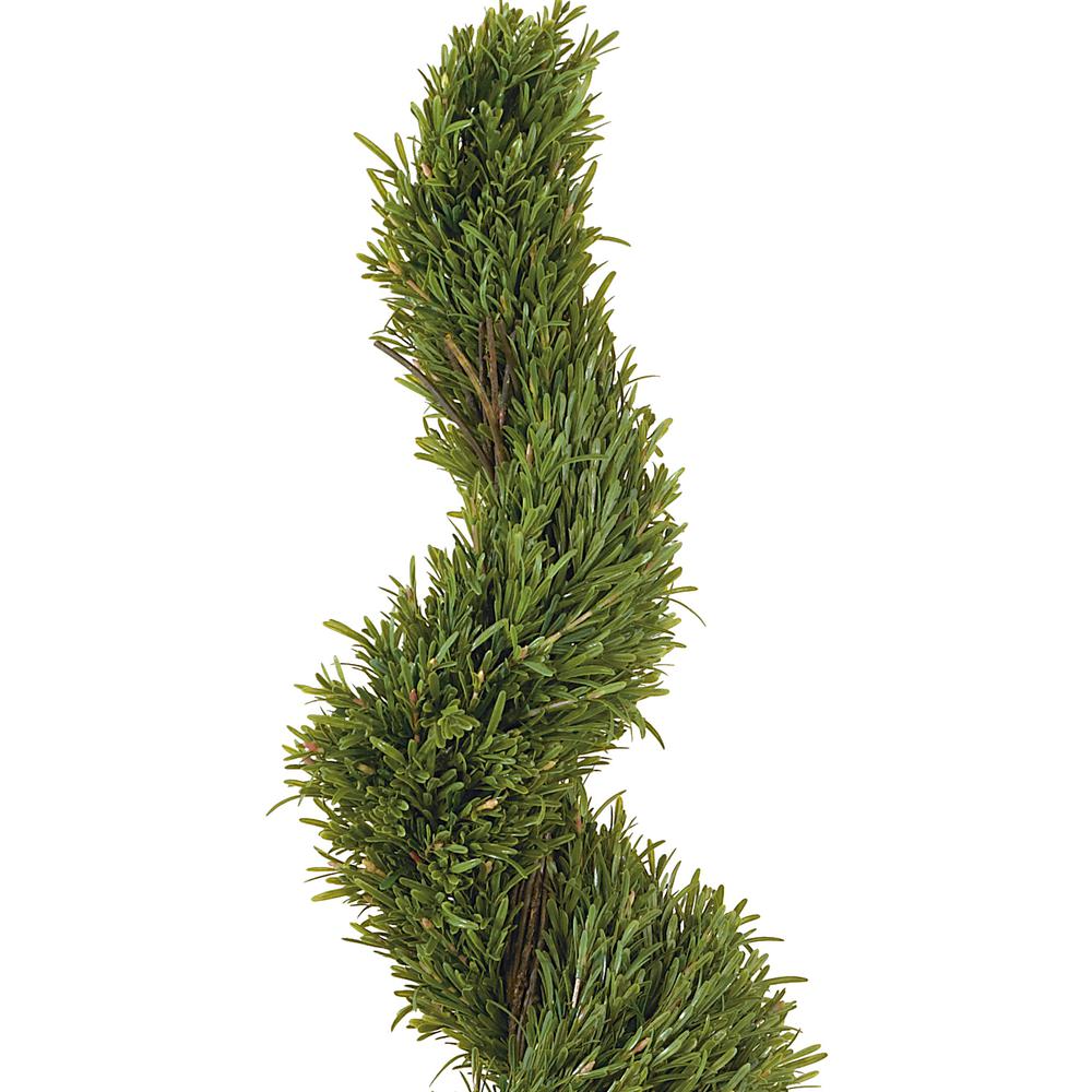 5ft. Rosemary Spiral Silk Tree (Indoor/Outdoor). Picture 2