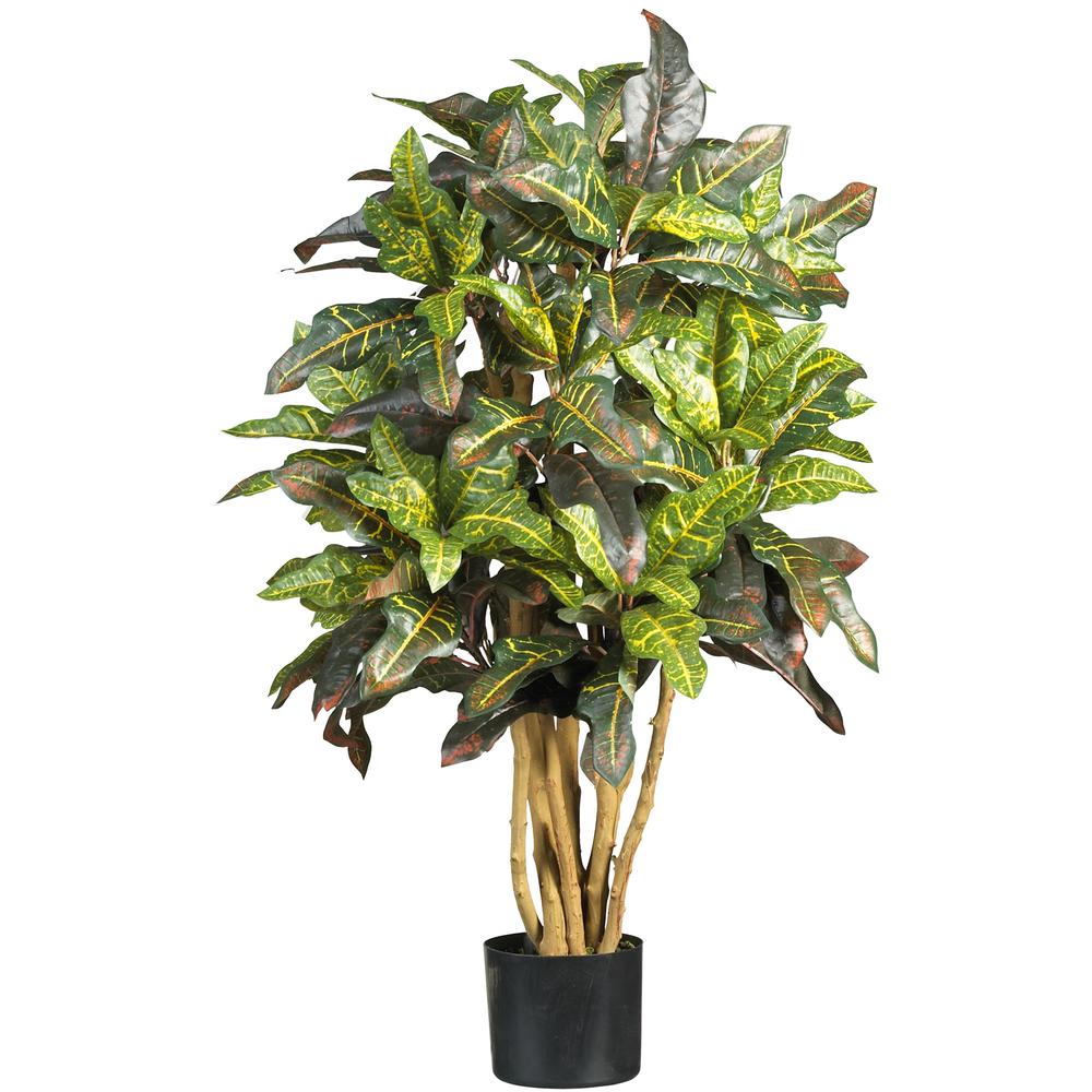 3ft. Croton Silk Tree. Picture 1
