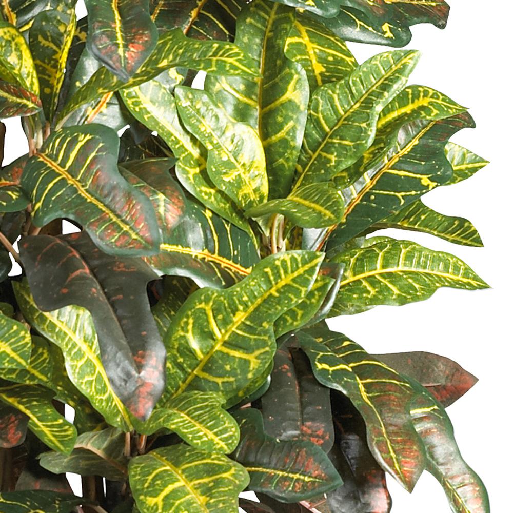 3ft. Croton Silk Tree. Picture 3