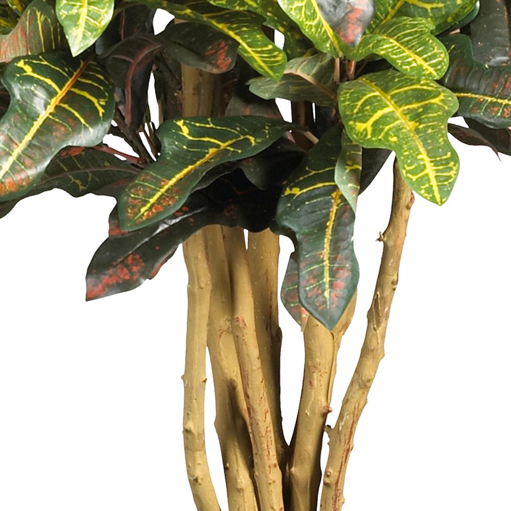 3ft. Croton Silk Tree. Picture 5