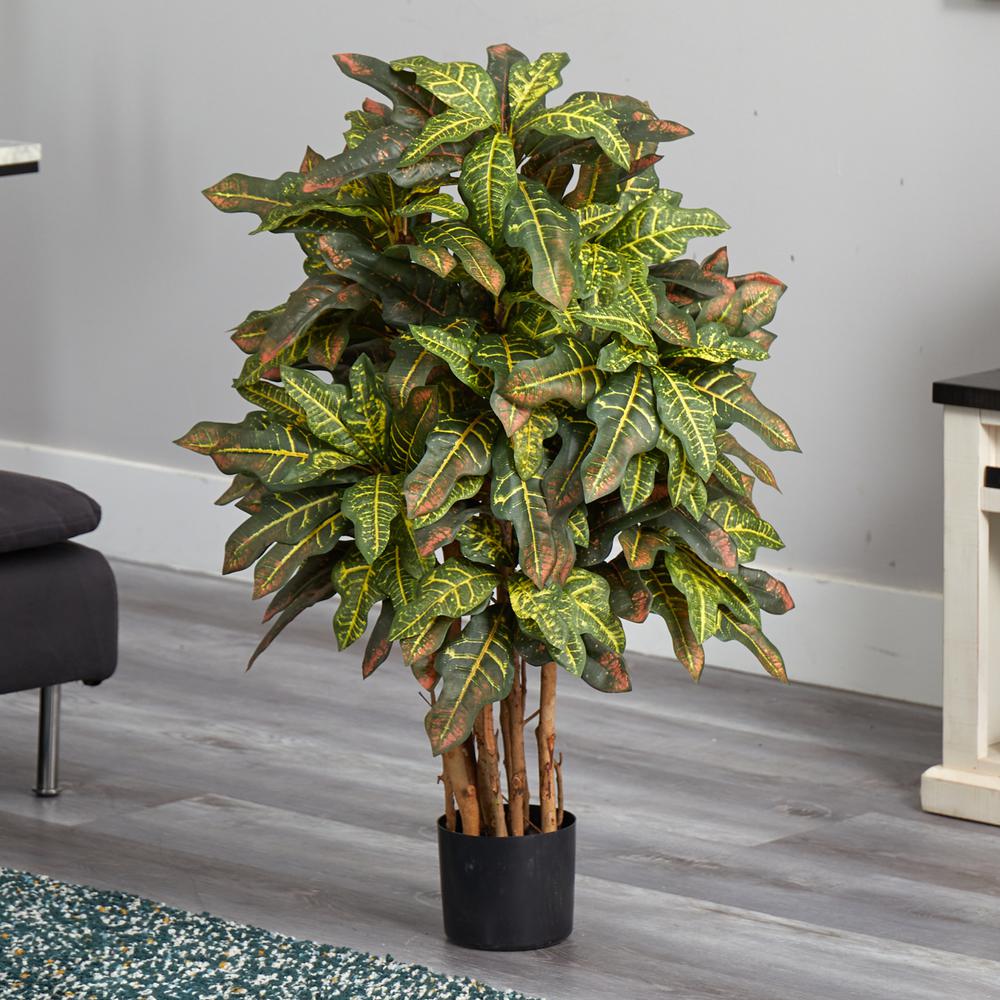 3ft. Croton Silk Tree. Picture 4