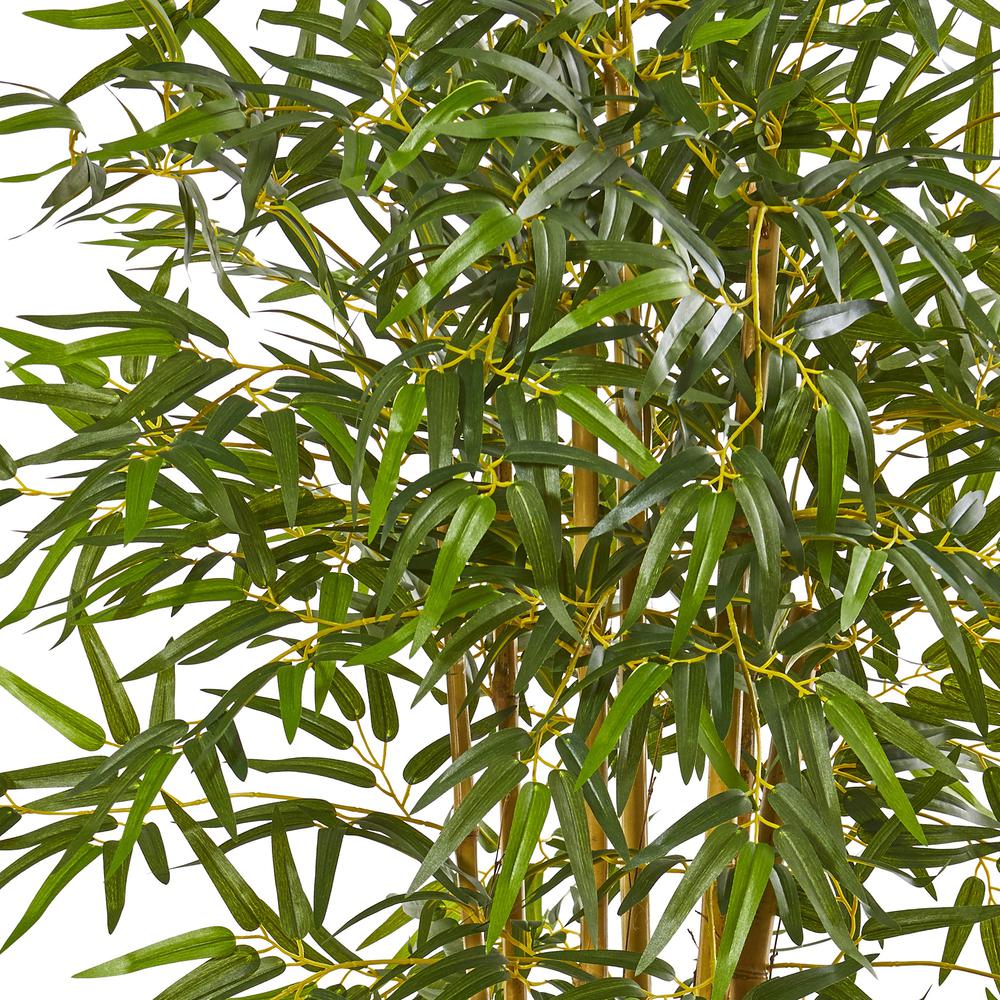 6' Fancy Style Bamboo Tree w/17,00 Lvs. Picture 6