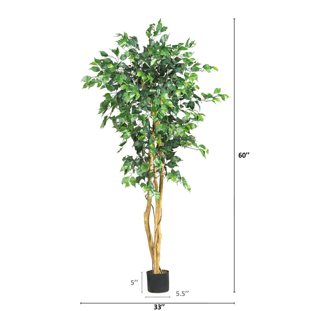 5ft. Ficus Tree. Picture 5