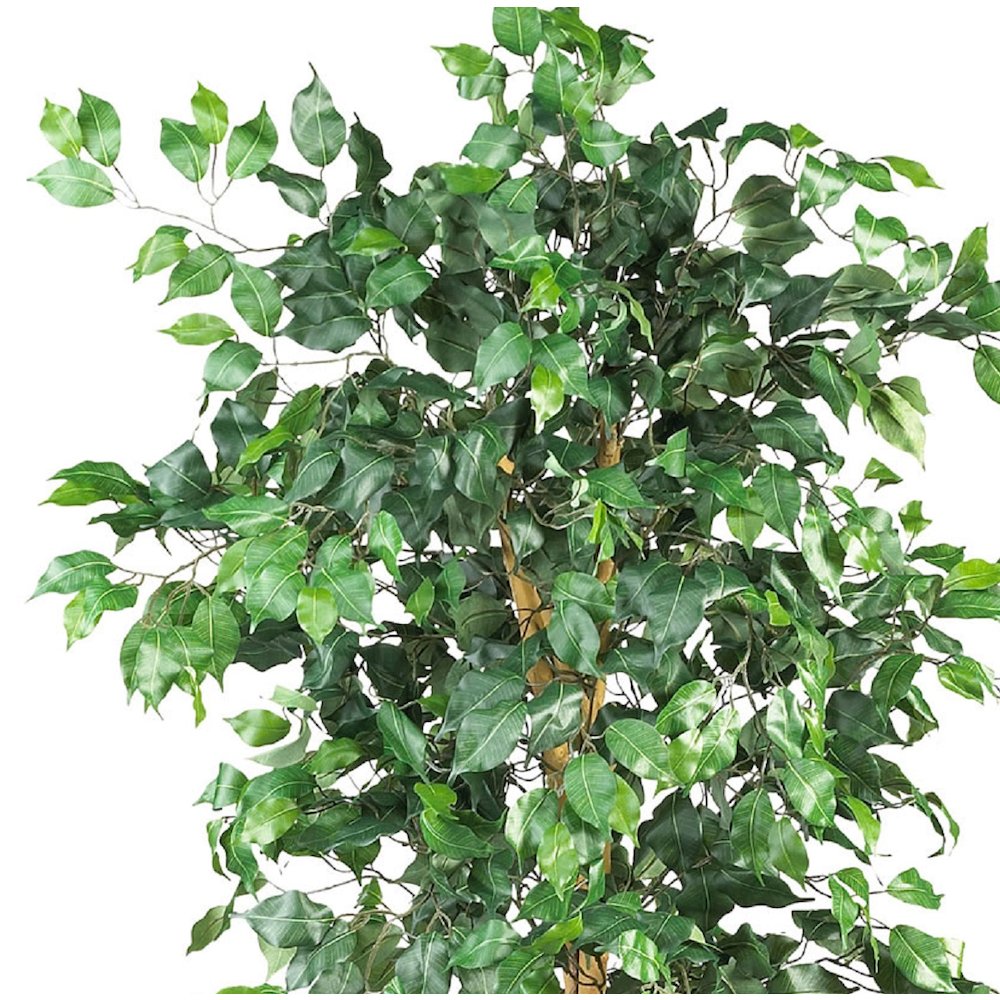 6ft. Artificial Ficus Tree. Picture 2