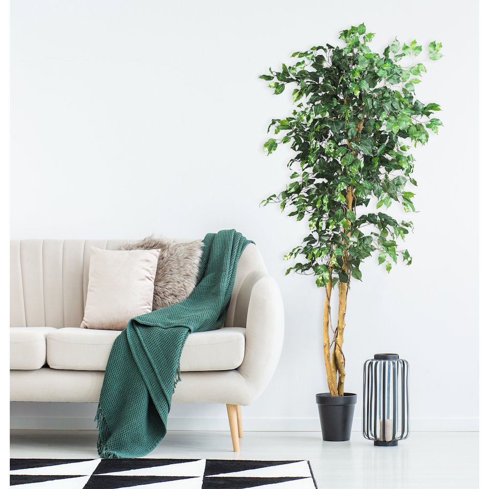 6ft. Artificial Ficus Tree. Picture 3