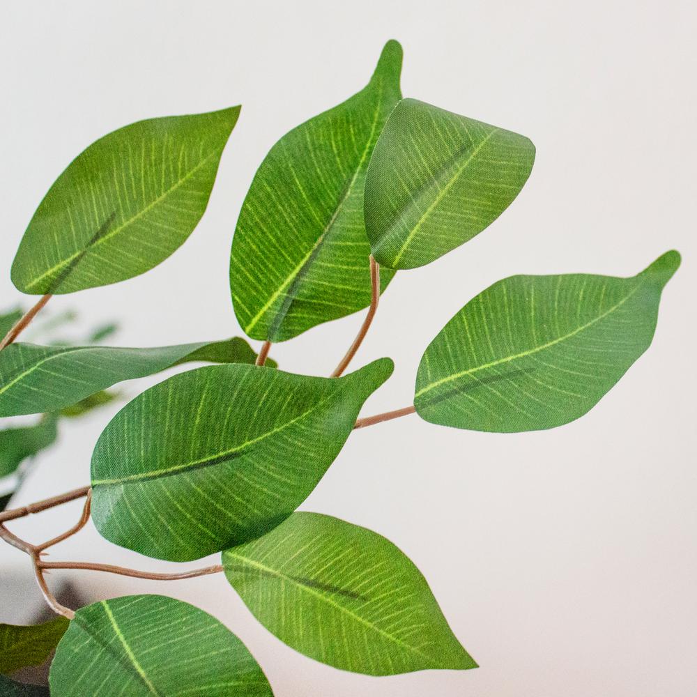 7ft. Ficus Silk Tree. Picture 2
