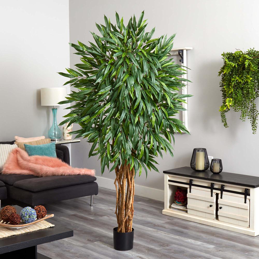 6ft. Weeping Ficus Silk Tree. Picture 2
