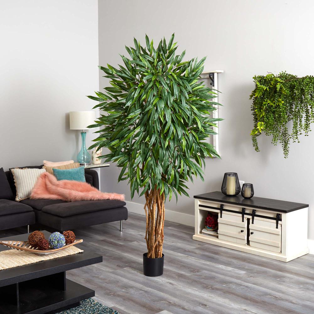 6ft. Weeping Ficus Silk Tree. Picture 3