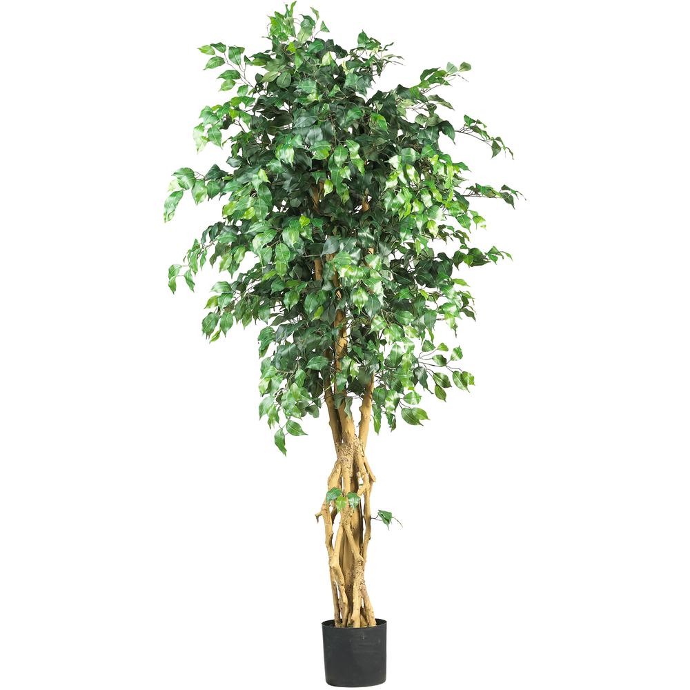 6ft. Palace Style Ficus Silk Tree. Picture 1
