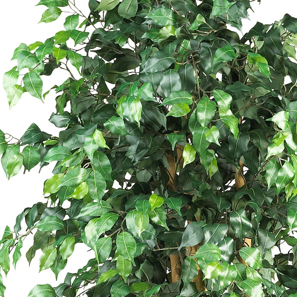 6ft. Palace Style Ficus Silk Tree. Picture 3