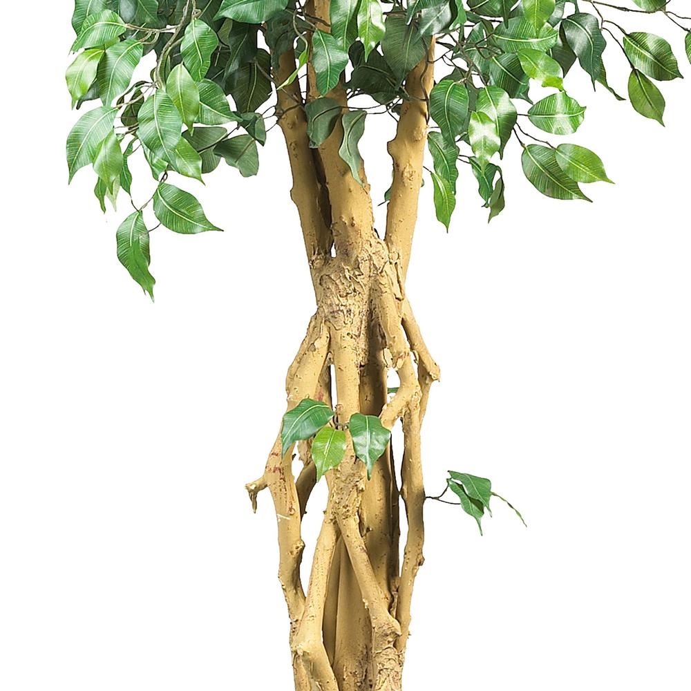 6ft. Palace Style Ficus Silk Tree. Picture 4