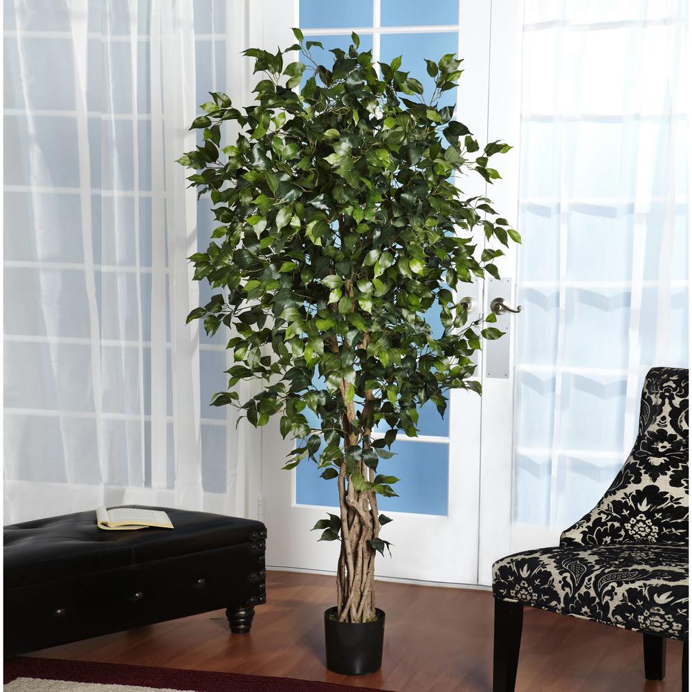 6ft. Palace Style Ficus Silk Tree. Picture 7