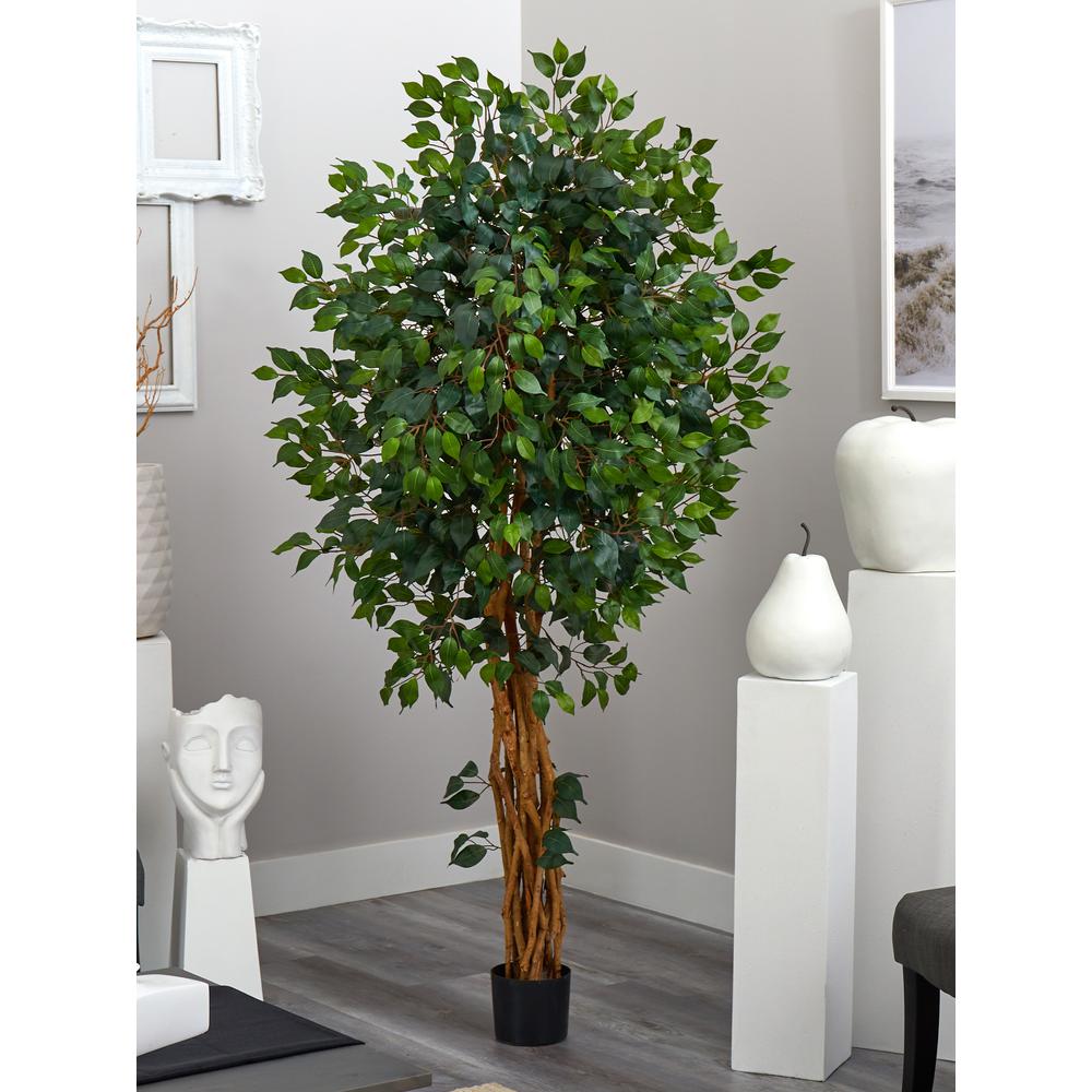 6ft. Palace Style Ficus Silk Tree. Picture 2