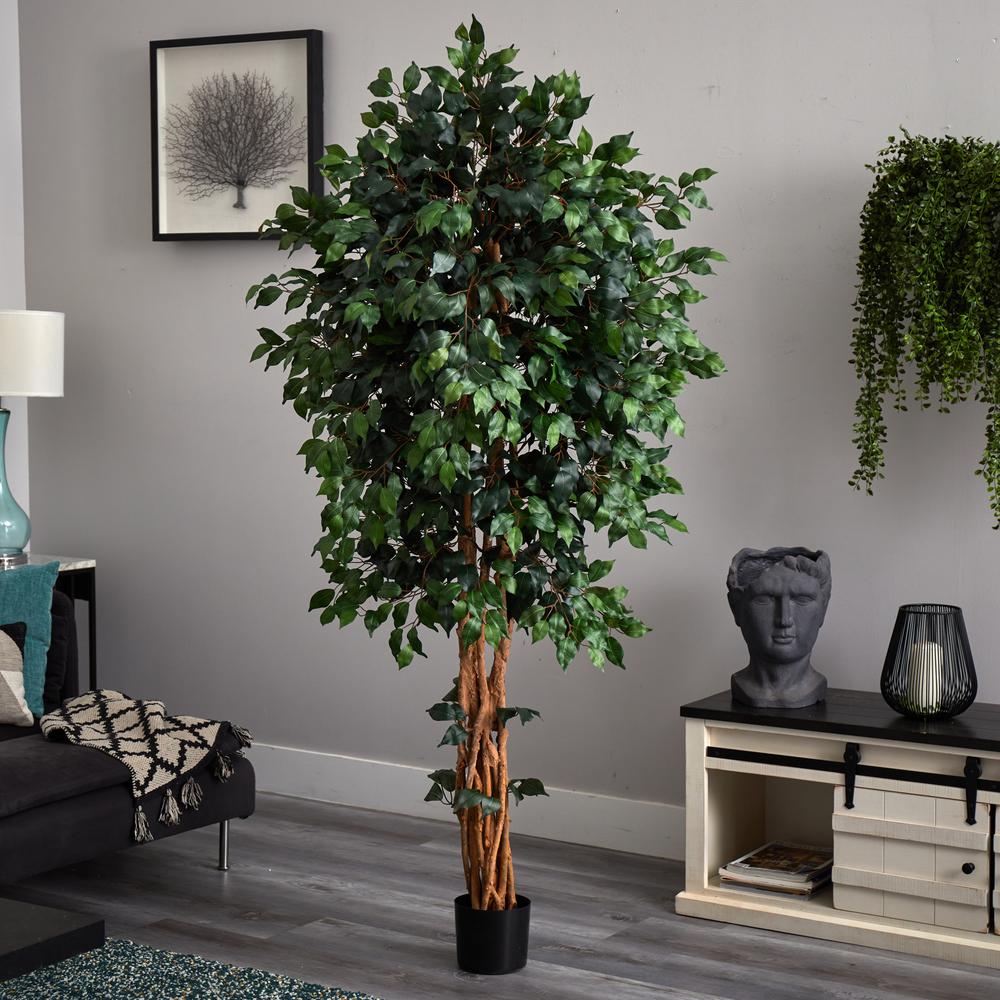 6ft. Palace Style Ficus Silk Tree. Picture 5