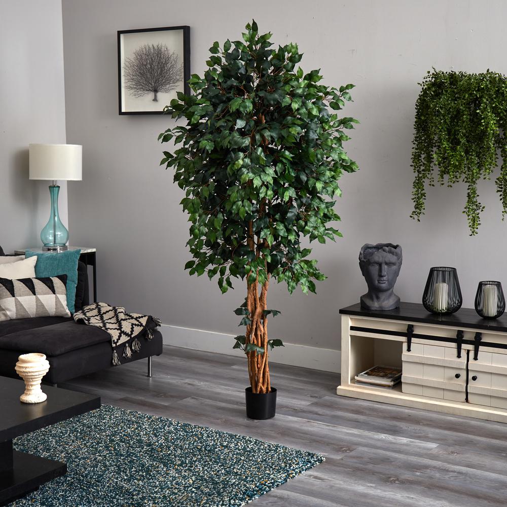 6ft. Palace Style Ficus Silk Tree. Picture 6