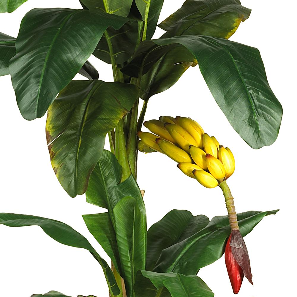 6ft. Triple Stalk Banana Silk Tree. Picture 2