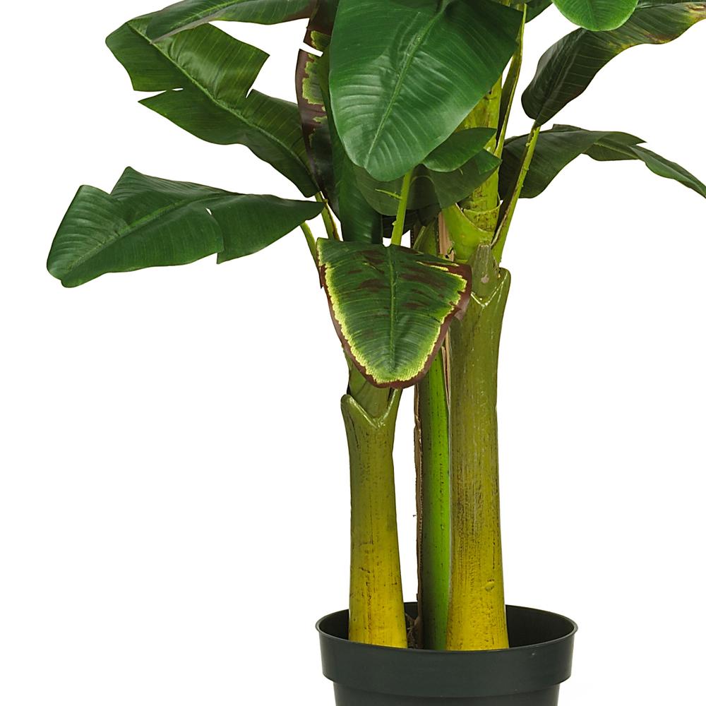 6ft. Triple Stalk Banana Silk Tree. Picture 5