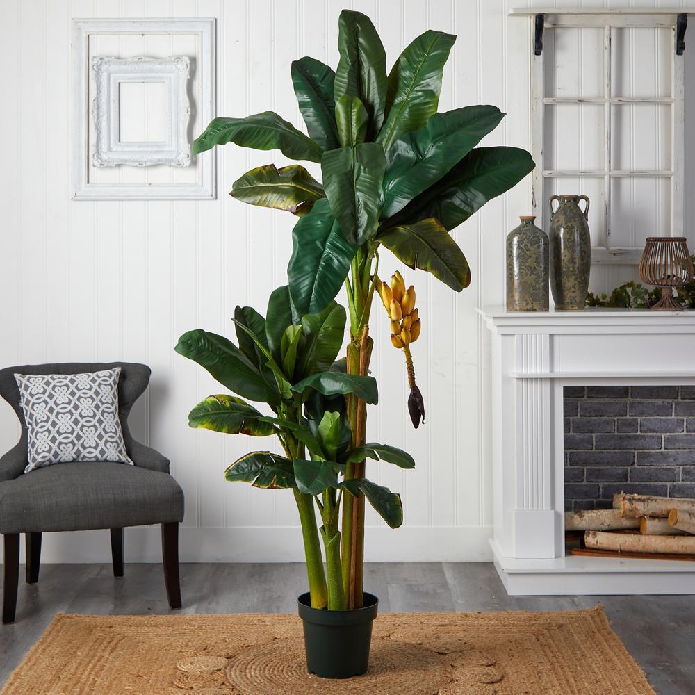 6ft. Triple Stalk Banana Silk Tree. Picture 4