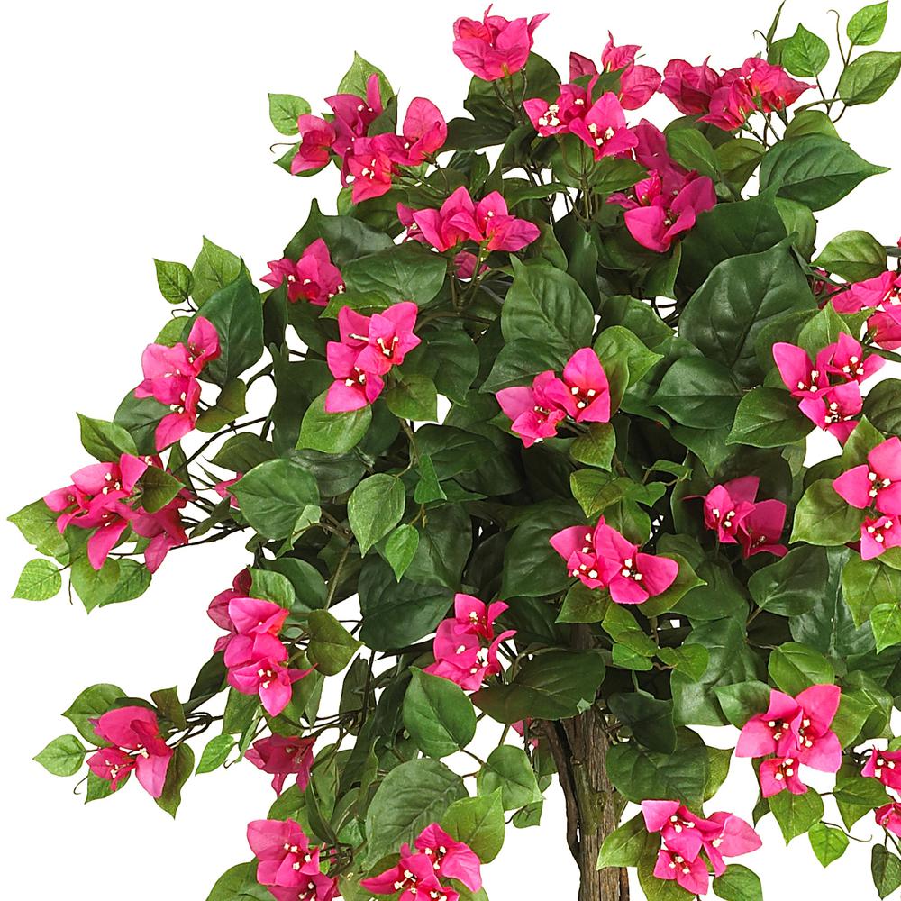 5ft. Mini Bougainvillea Topiary. Picture 3