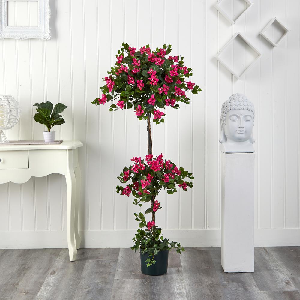5ft. Mini Bougainvillea Topiary. Picture 5