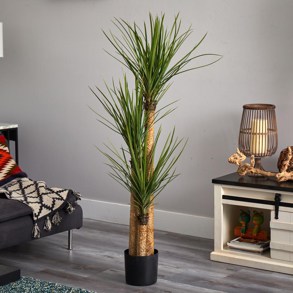 58.5in. Yucca Silk Tree. Picture 5