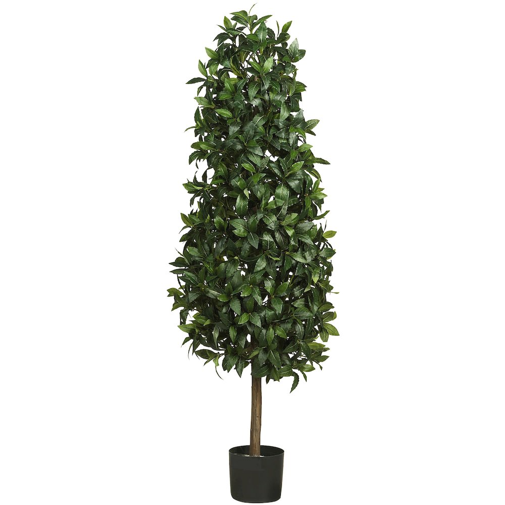 5ft. Sweet Bay Pyramid Silk Tree. Picture 1