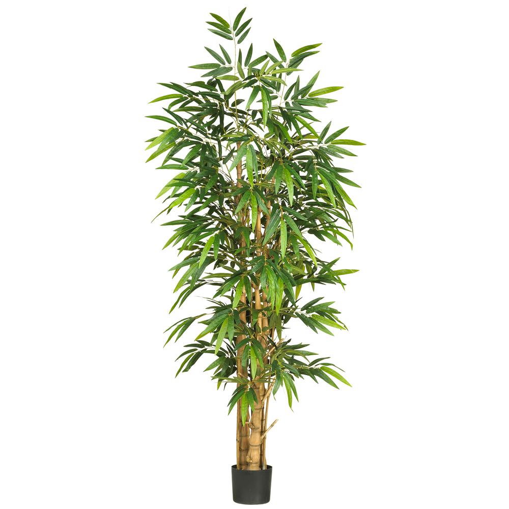 6ft. Belly Bamboo Silk Tree. Picture 1