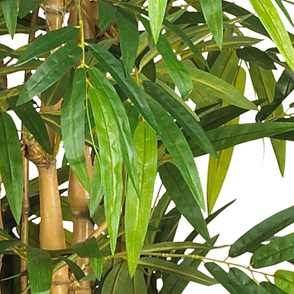 6ft. Belly Bamboo Silk Tree. Picture 5