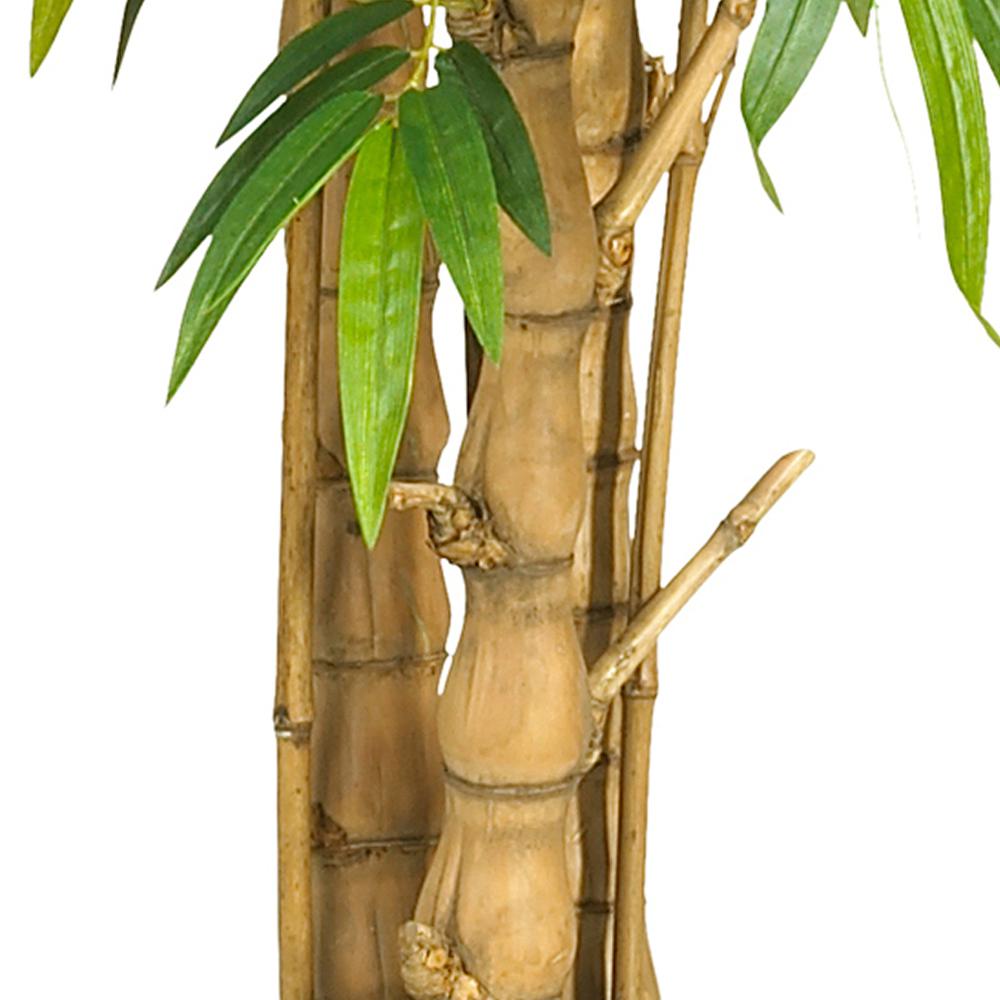 6ft. Belly Bamboo Silk Tree. Picture 3