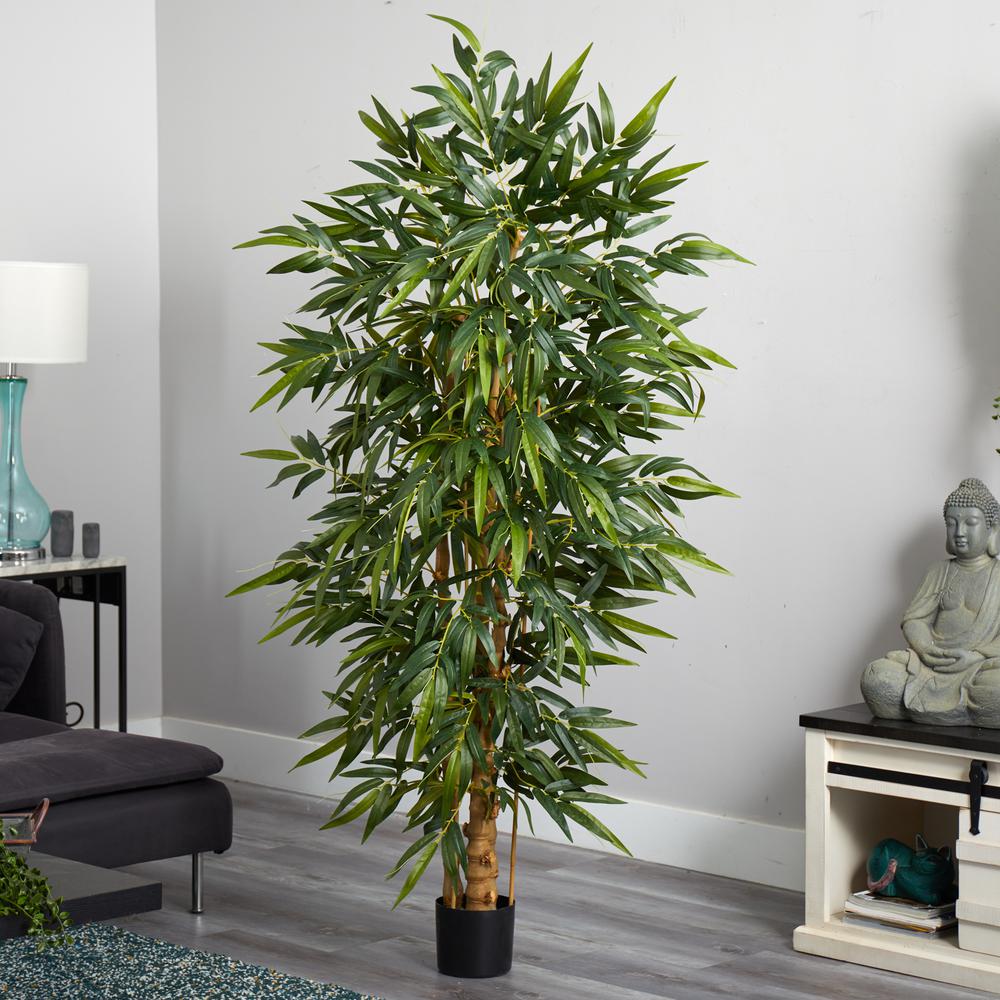 6ft. Belly Bamboo Silk Tree. Picture 2