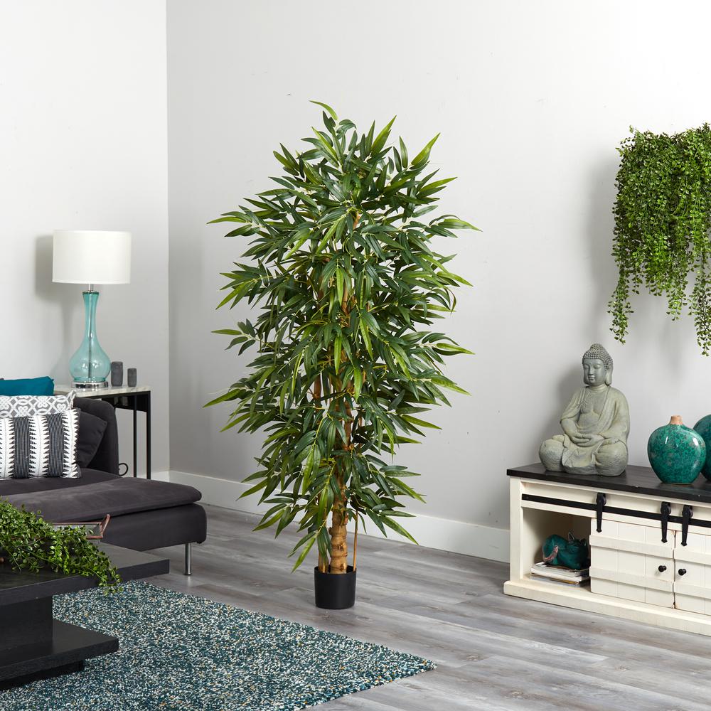 6ft. Belly Bamboo Silk Tree. Picture 4