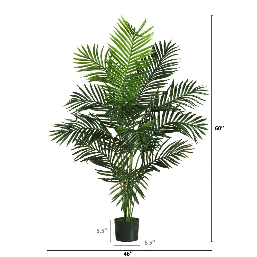 5ft. Paradise Palm. Picture 7