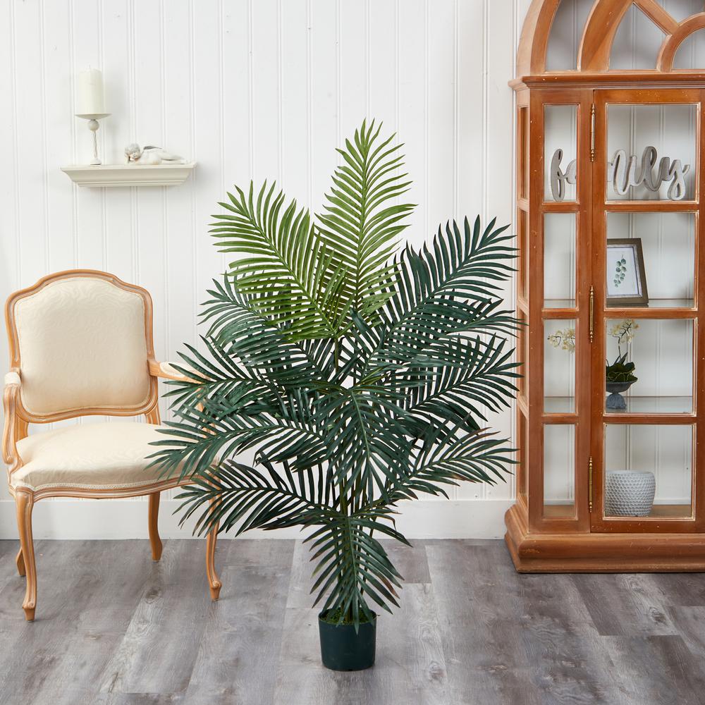 5ft. Paradise Palm. Picture 5