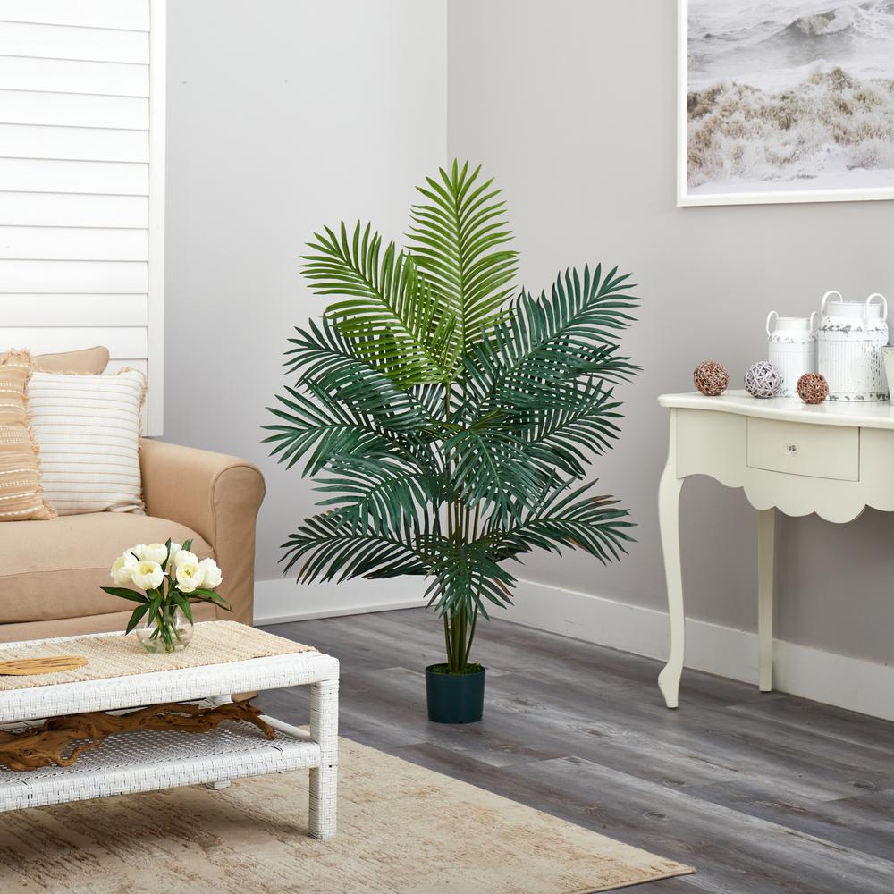 5ft. Paradise Palm. Picture 4
