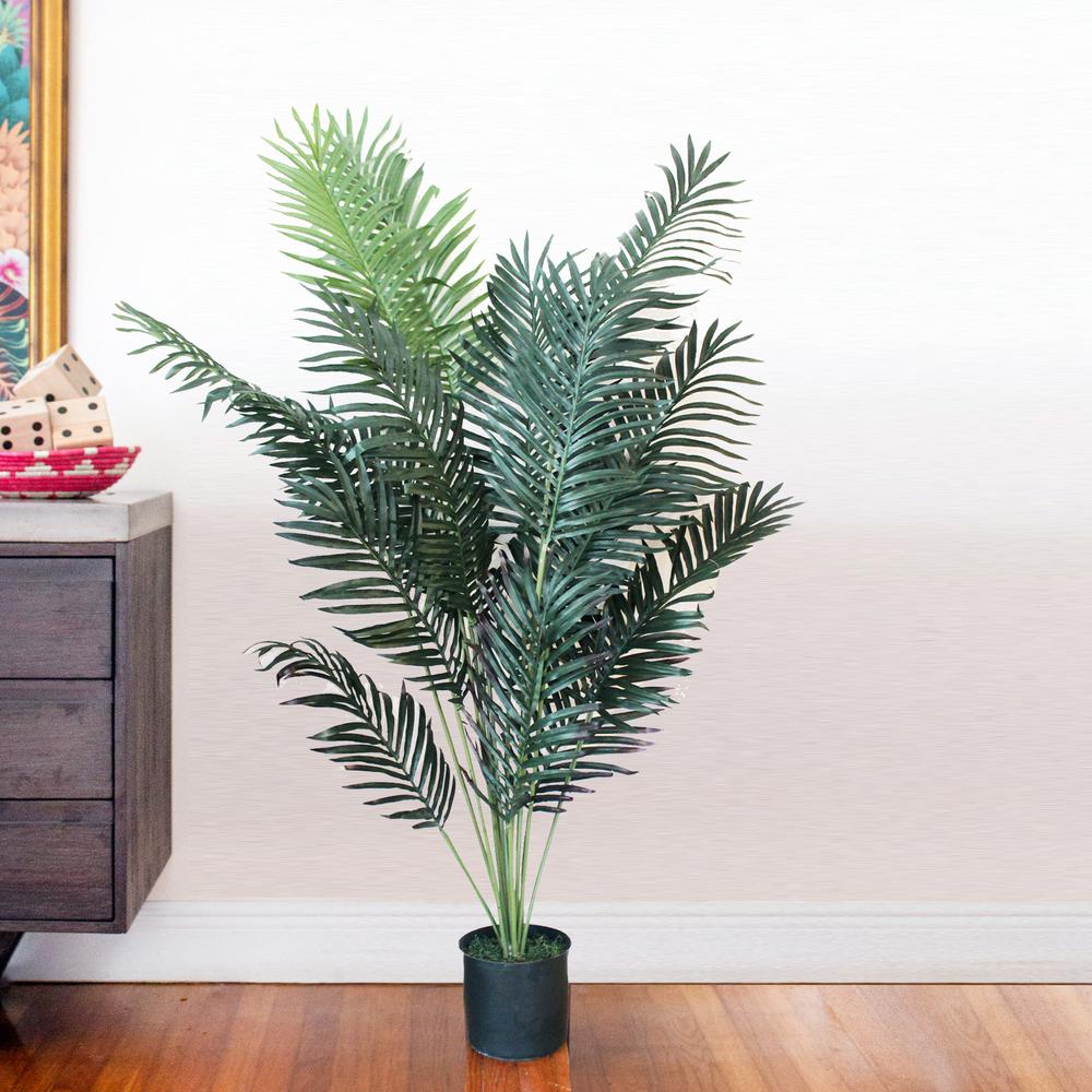 5ft. Paradise Palm. Picture 3