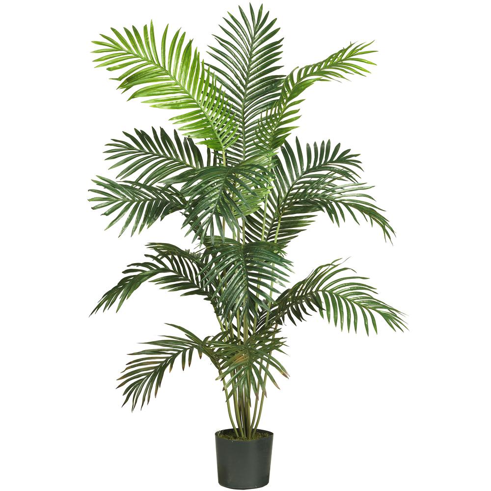 6ft. Paradise Palm. Picture 1